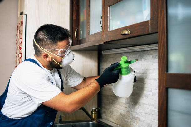Best Pest Control Near Me  in Wathena, KS