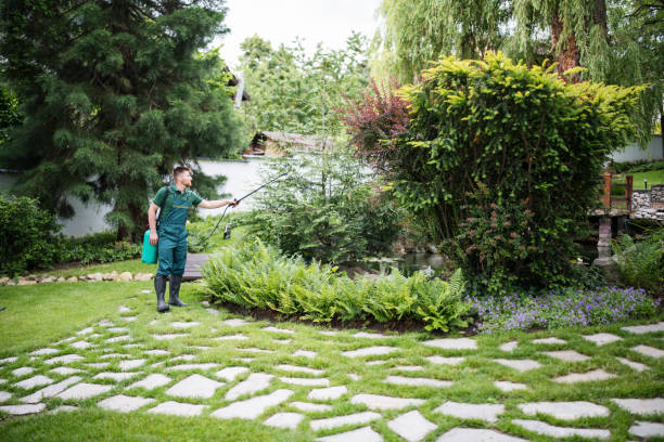 Best Exterminator Services  in Wathena, KS