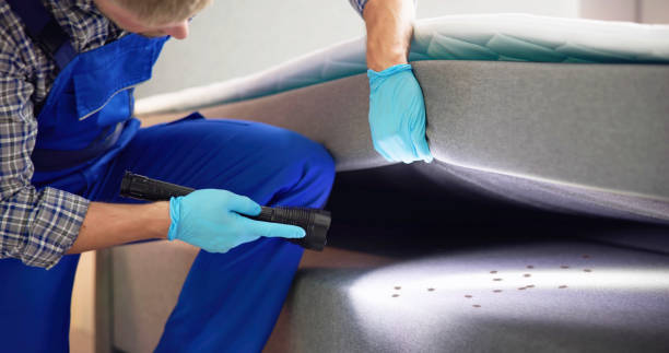 Best Emergency Pest Control  in Wathena, KS