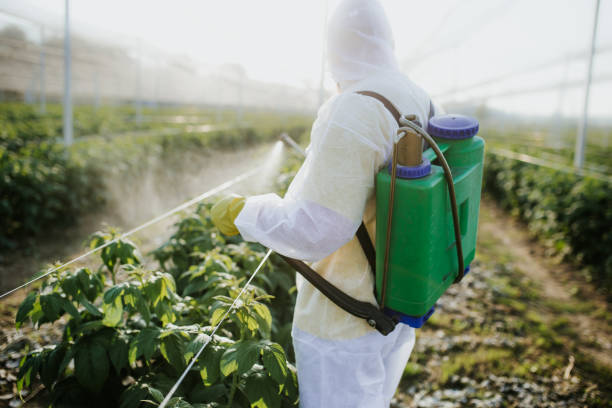 Best Pest Inspection Near Me  in Wathena, KS